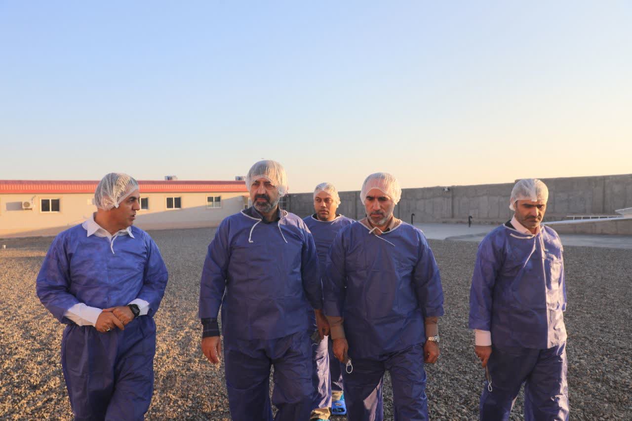 بازدید میدانی مهندس اکبر بهنام جو استاندار قم، از واحد مرغ تخمگذارتمام مکانیزه هانیس(کمالی)